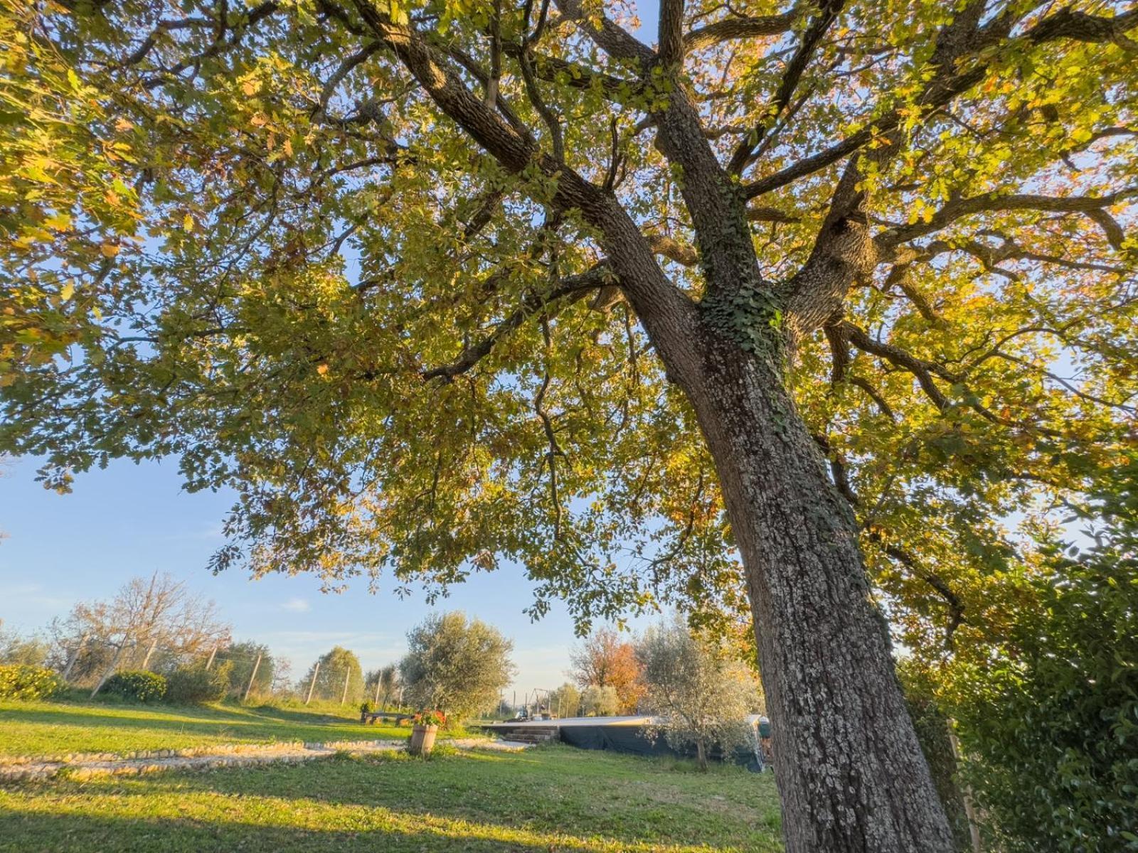 Casale Le Brecce B&B Otricoli Kültér fotó